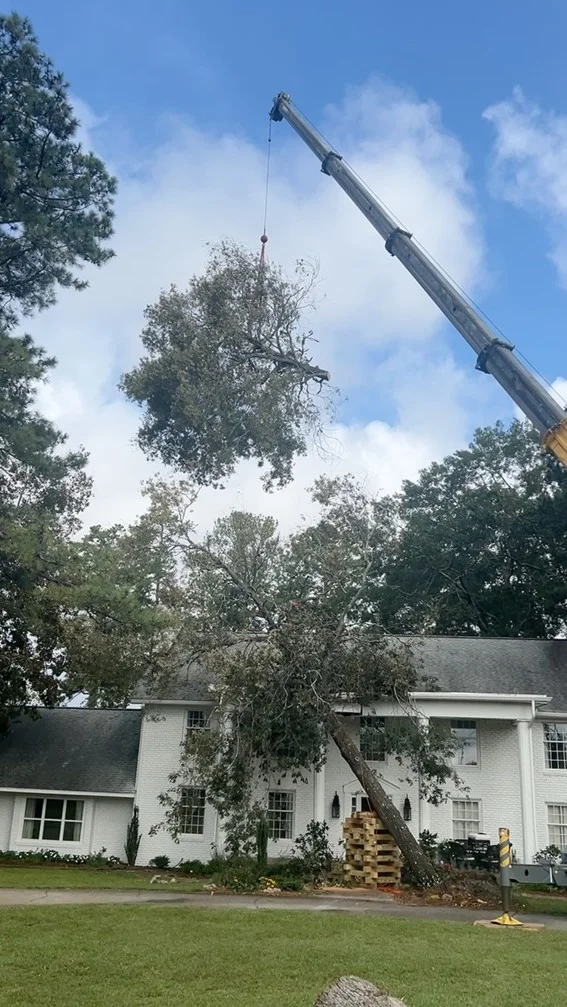 Storm Damage Roof Repair
