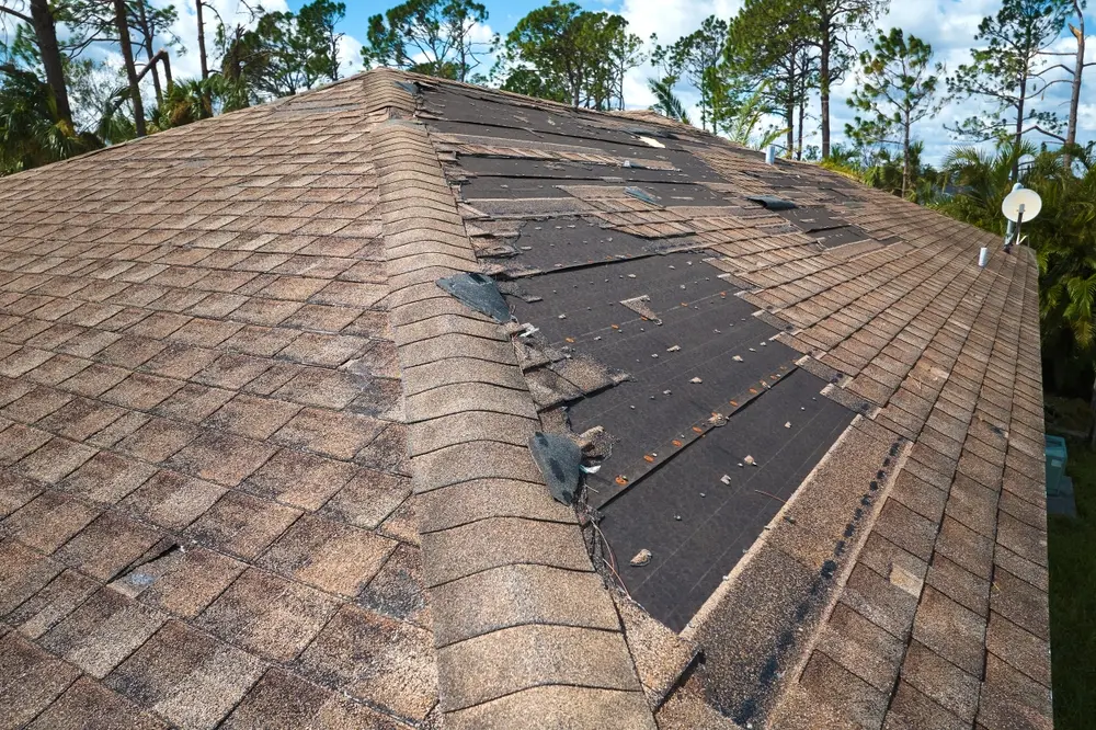 Spot Roof Damage Early, Prevent Leaks