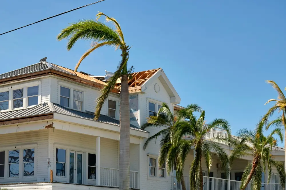Tree Damage Roof Repair in Columbia SC