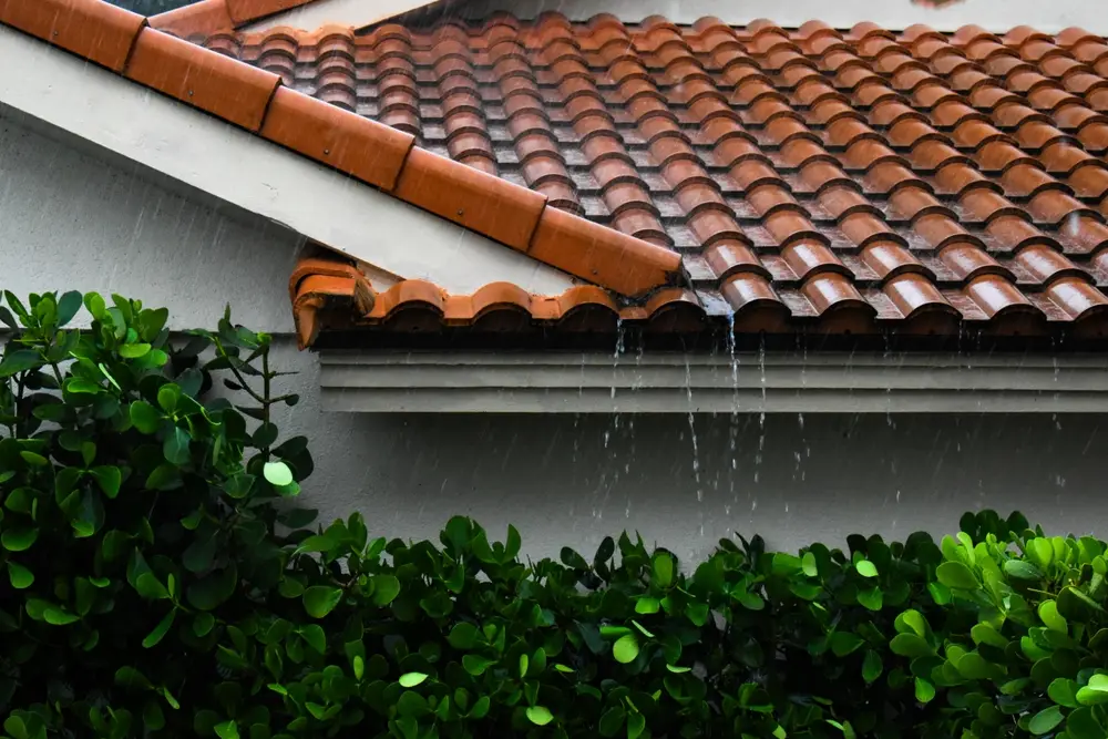 Protect Your Roof from Heavy Rain in Columbia SC | Cola City