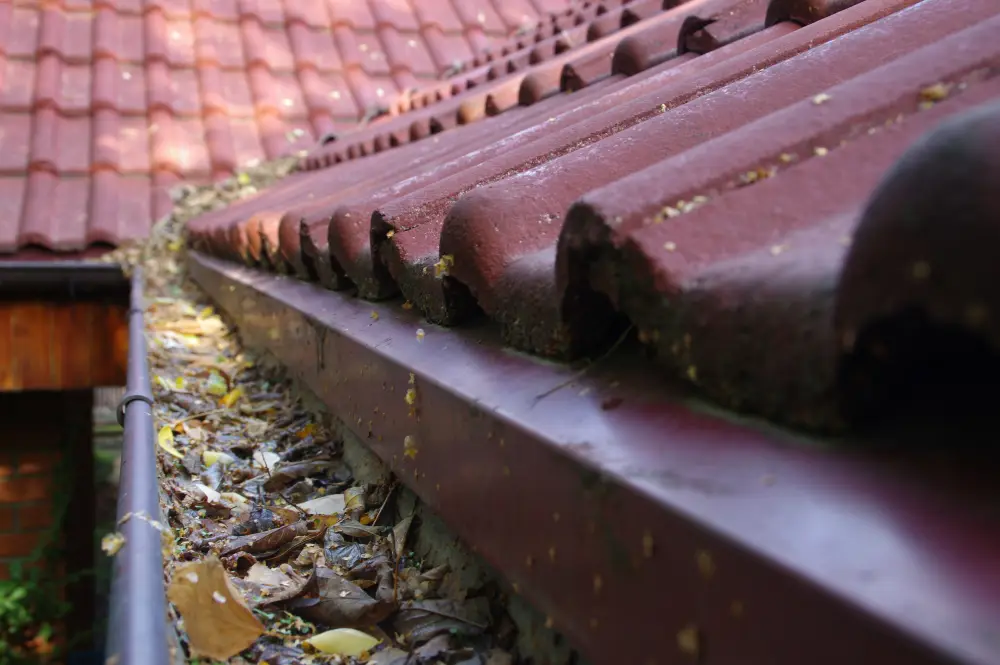 Hidden Dangers of Clogged Gutters
