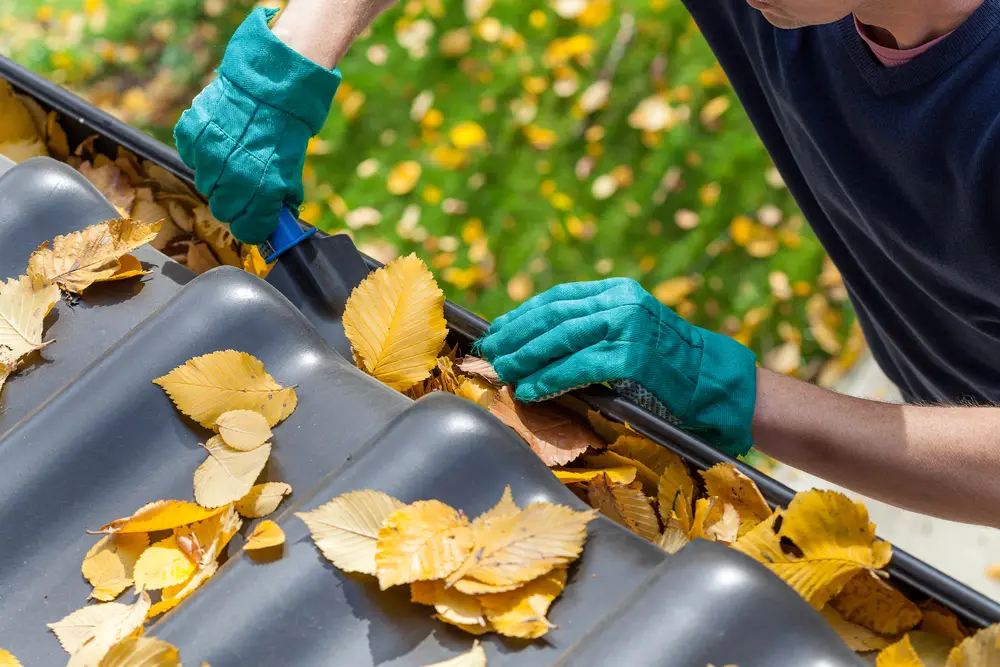 Signs Your Gutters Are Damaging Your Roof