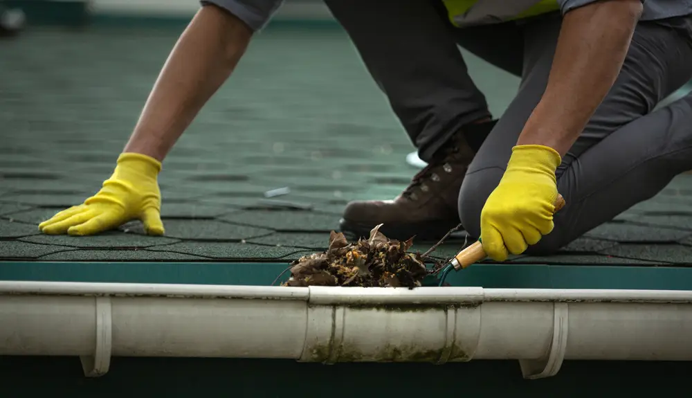 DIY Gutter Cleaning Risks Homeowners Should Know