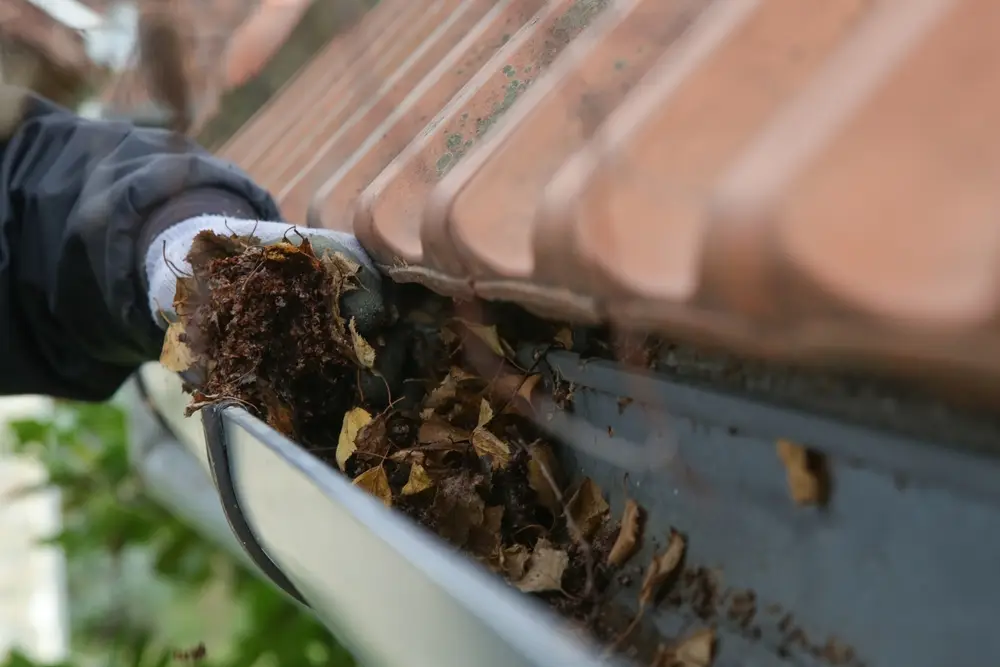 Spring Gutter Prep in Columbia, SC