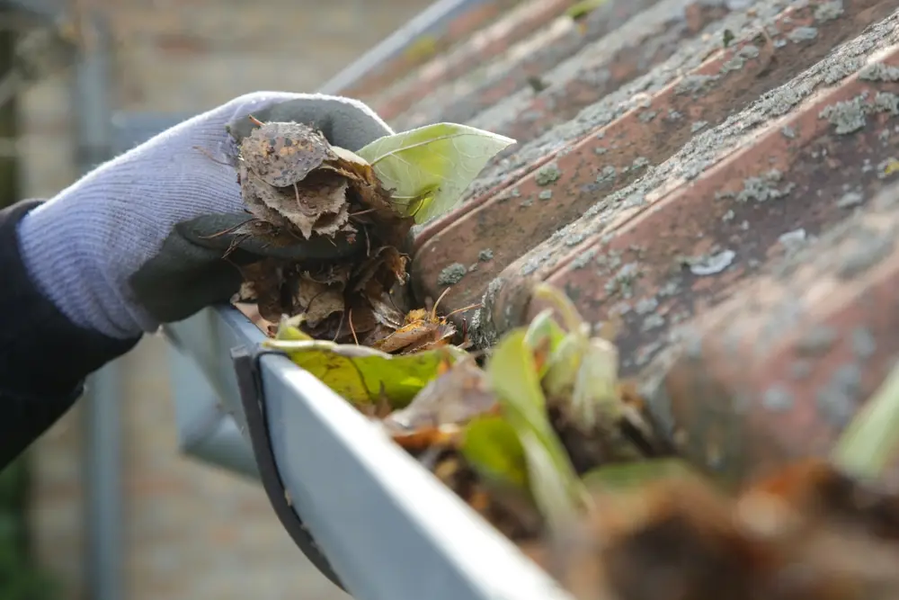 Heavy Rain Gutter Protection for Your Home