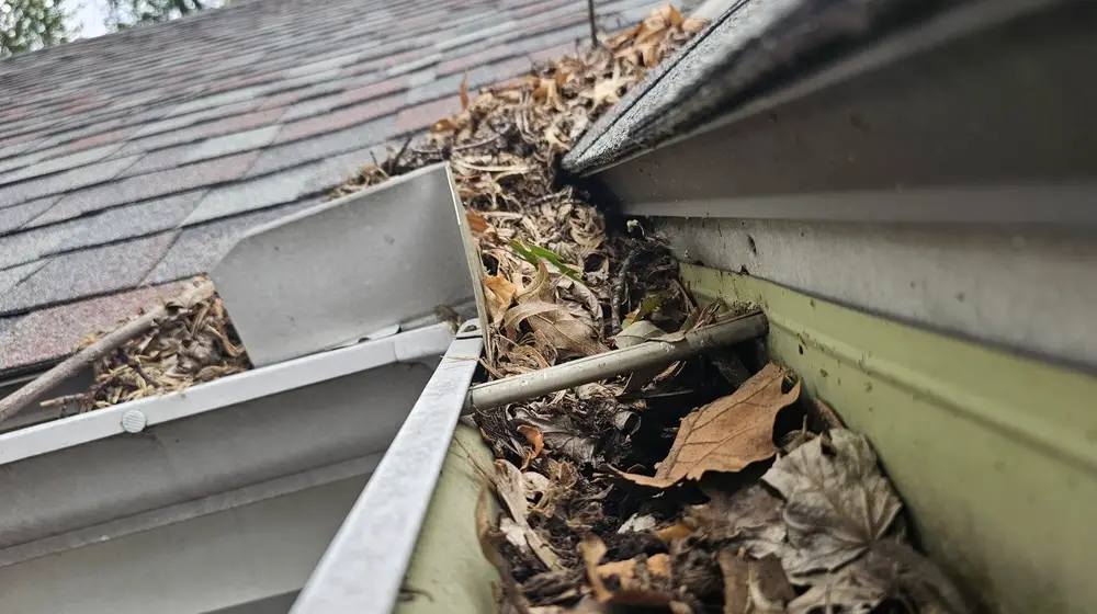 Common Gutter Problems in Older Columbia Homes