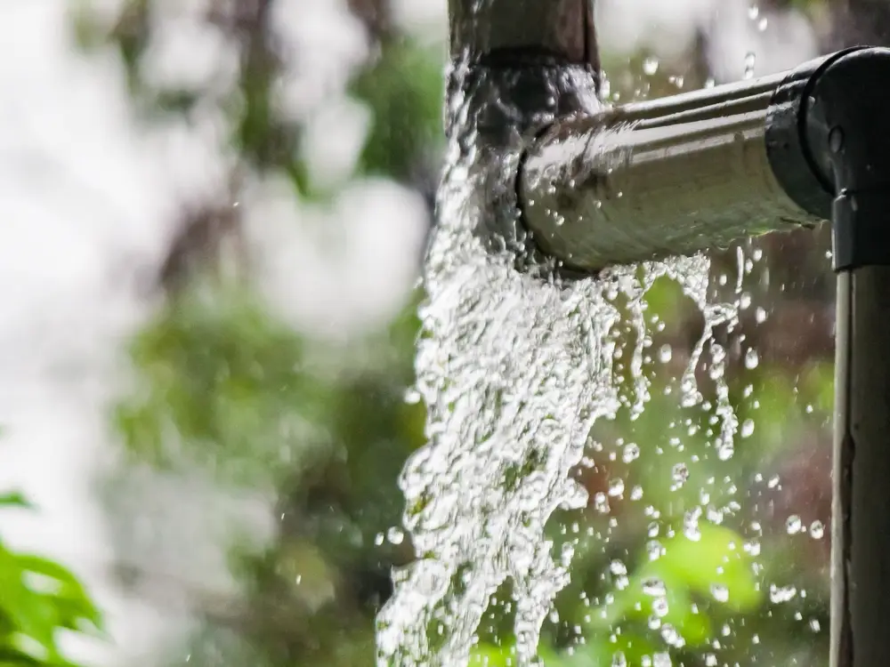Case Study: Interior Damage From Faulty Gutters