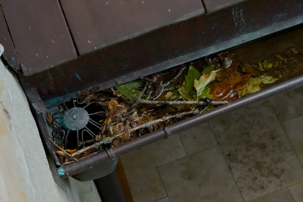 Before & After Mold Prevention: Fixing Gutter Problems
