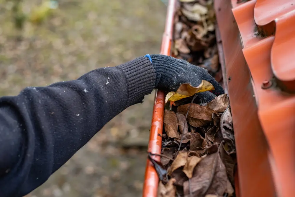 Fall Gutter Maintenance Checklist for SC