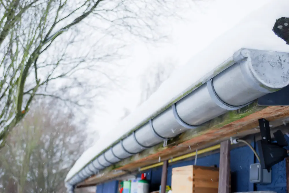How Gutters Help Prevent Mold and Mildew Growth