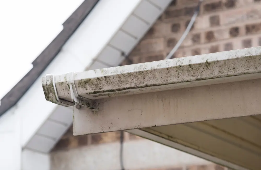 Common Signs You Need New Gutters
