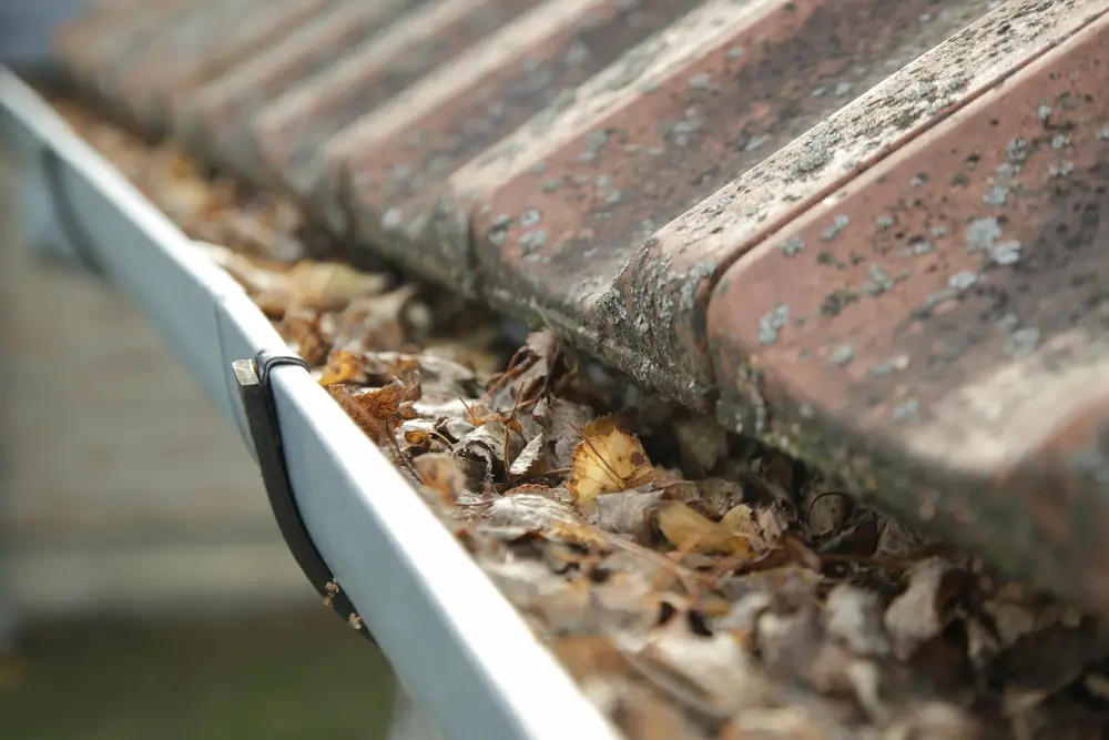 How Leaves and Debris Damage Your Gutters