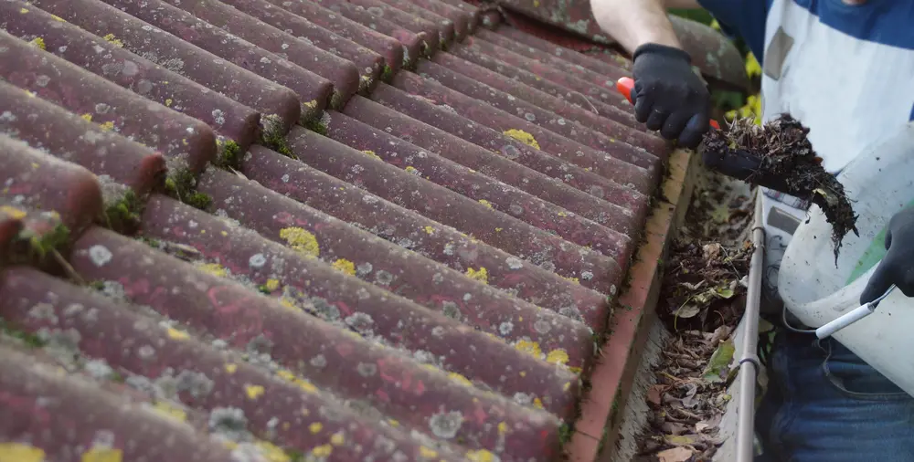 How Often to Clean Gutters in South Carolina