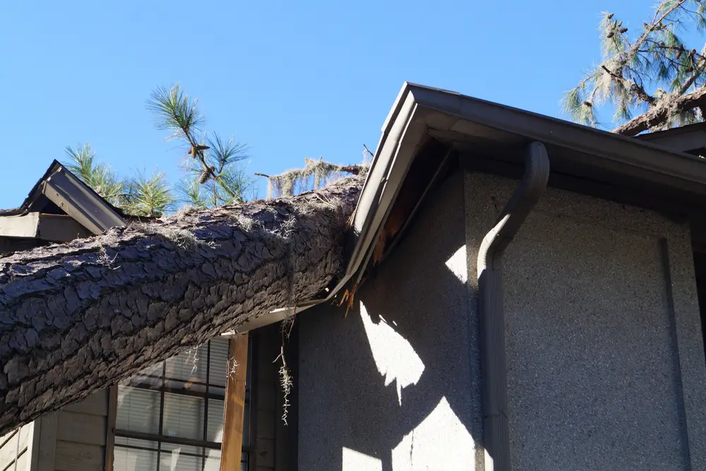 Insurance Claim vs. Warranty Claim: Which Covers Your Roof?