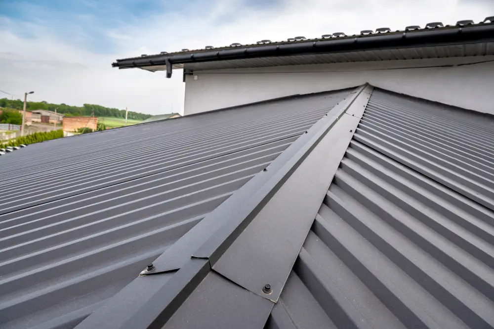 Metal Panel Roofing Systems: Industrial Guide