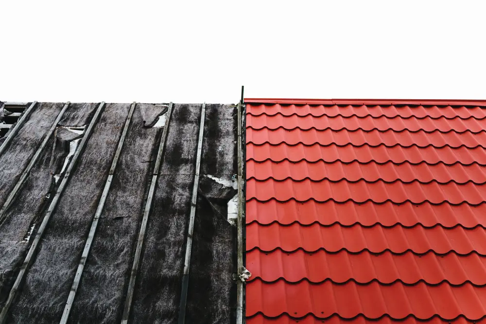 Moisture Buildup and Mold Prevention Guide