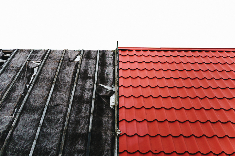 Moisture Buildup & Mold Prevention: Save Your Roof & Health