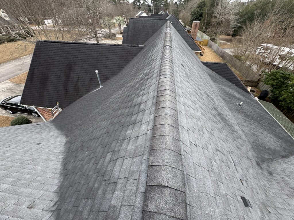 1 - 28 year old shingles, past their usefulness