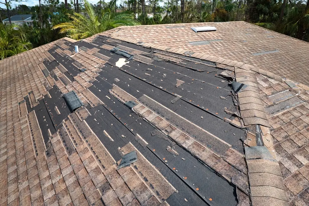Storm Damage Roof Repair Guide Columbia SC