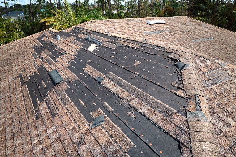 Storm Damage Roof Repair Guide Columbia SC