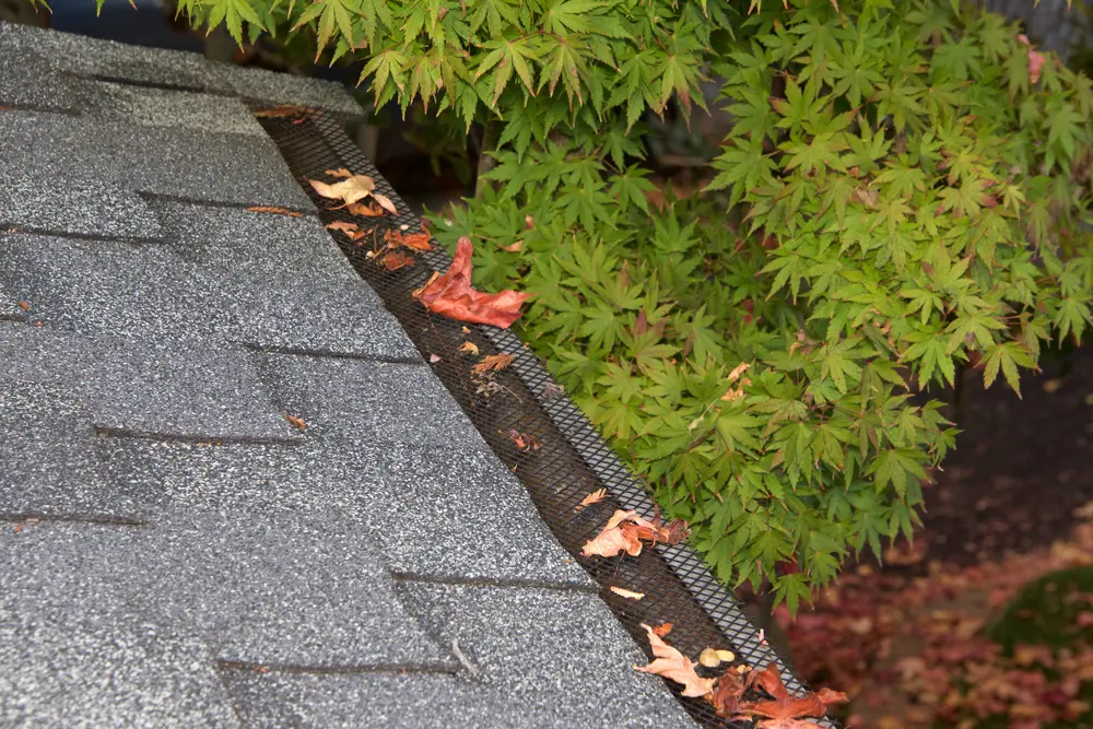 Gutter Guards Guide for Columbia SC Homeowners