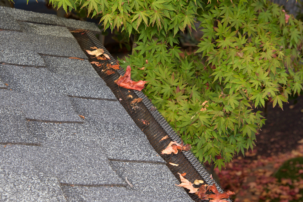 The Ultimate Gutter Guards Guide for Columbia, SC Homeowners