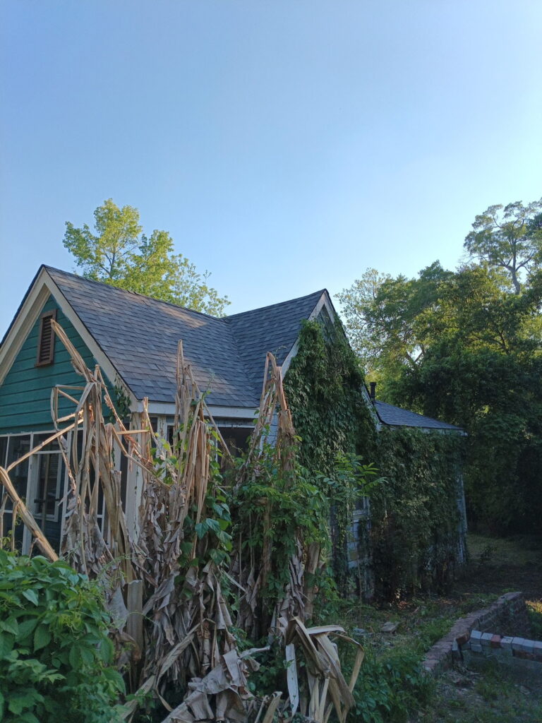 9 - new roof