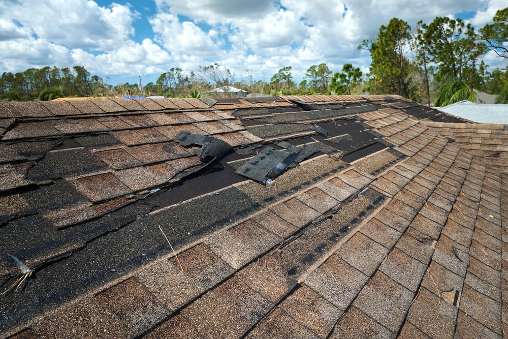 10 Signs You Need a New Roof | Columbia, SC Guide