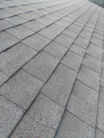 Repaired shingle field blended back into the surrounding roof