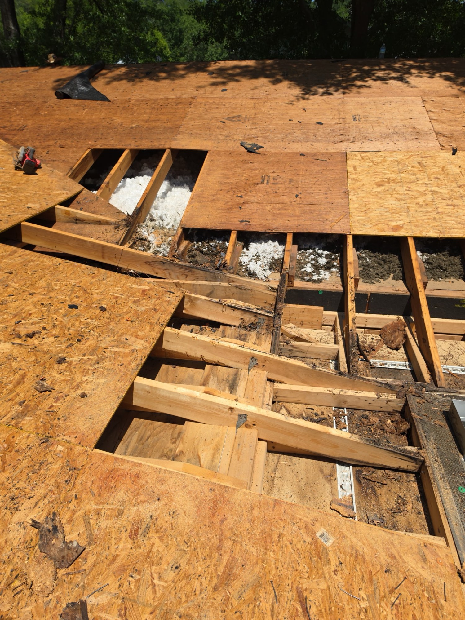 The compromised decking removed entirely — rotted sheathing and damaged framing members cut out and opened up so the structure underneath could be repaired properly, not covered over