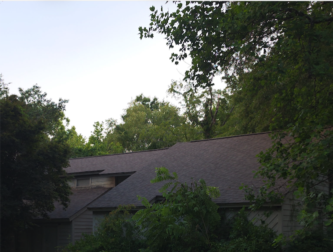 Finished: the completed roof replacement seen from the yard — a solid, watertight roof blending back into the wooded setting