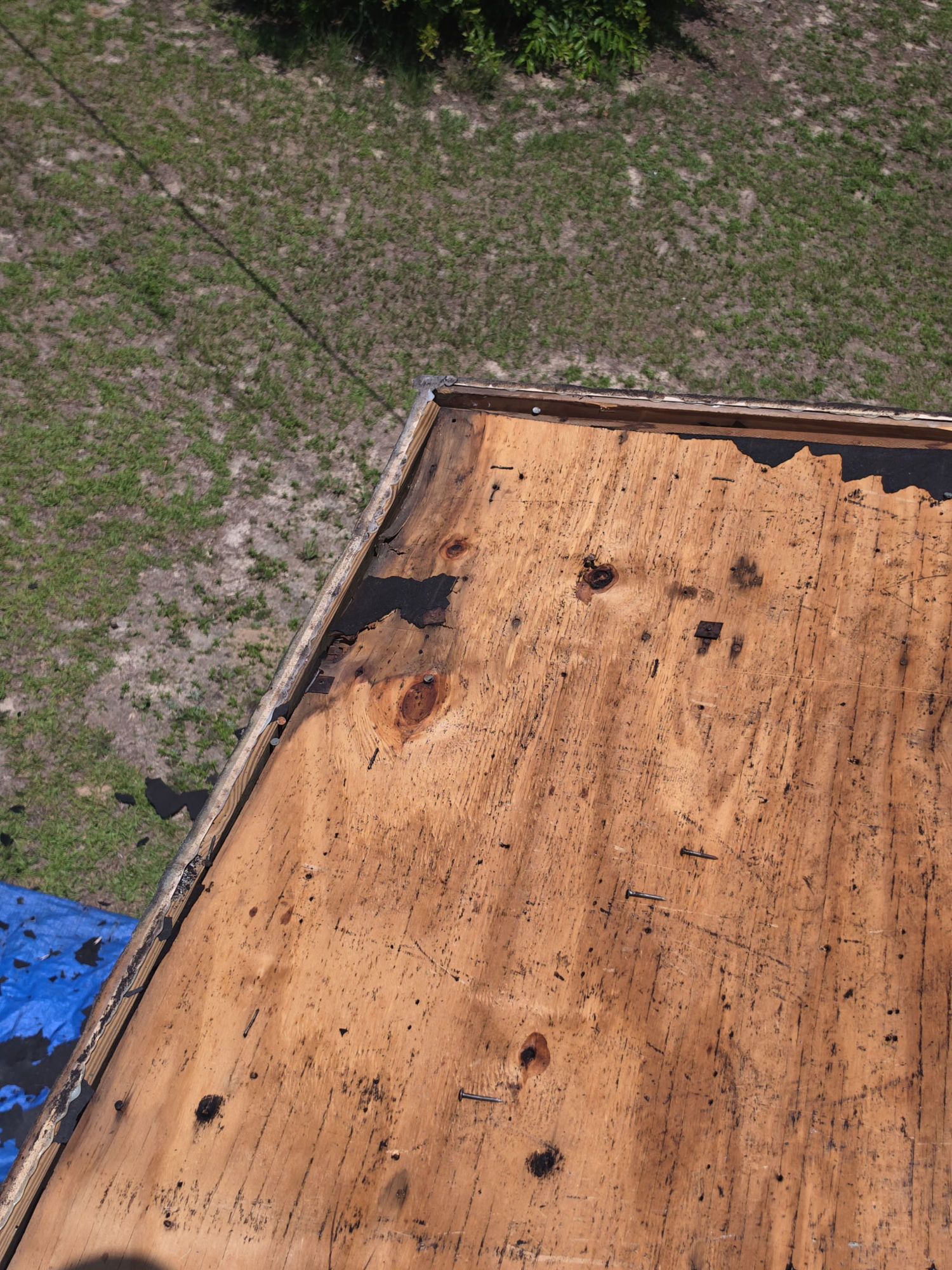 Detail at the eave: old nails pulled and dark, water-stained decking exposed along the drip edge — the kind of damage you only find once the old roof comes off