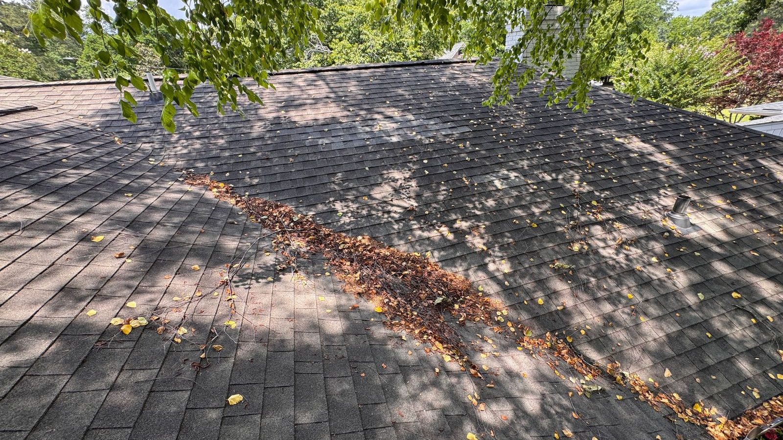 Hurricane Season Roof Prep for SC Homeowners