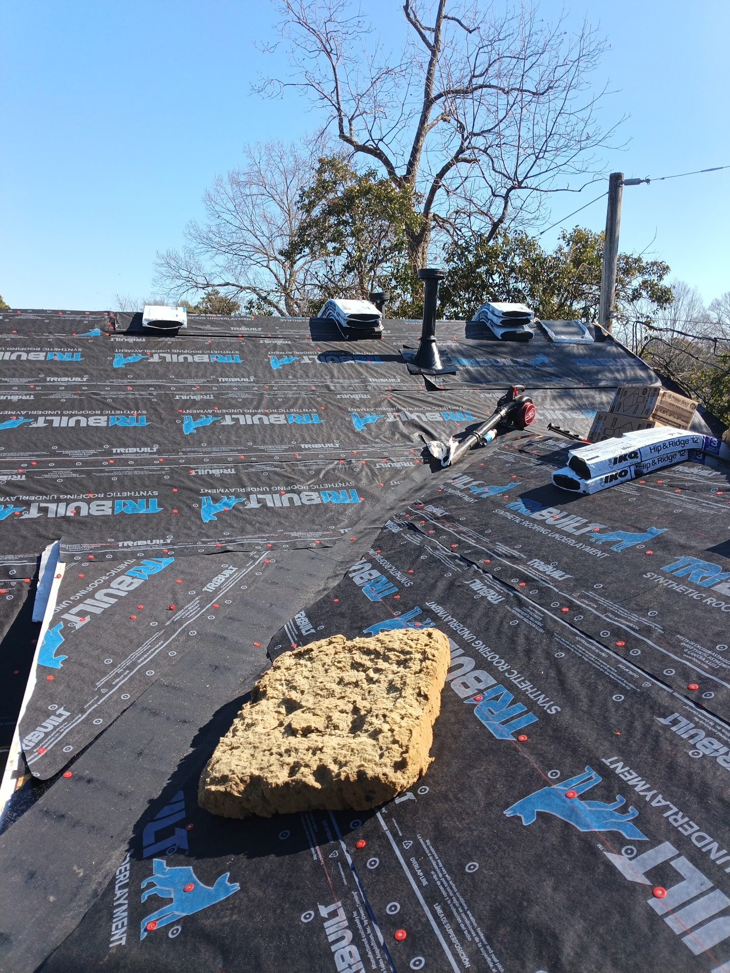 Synthetic underlayment down over the whole roof and cap-nailed off, with the box vents set and a
