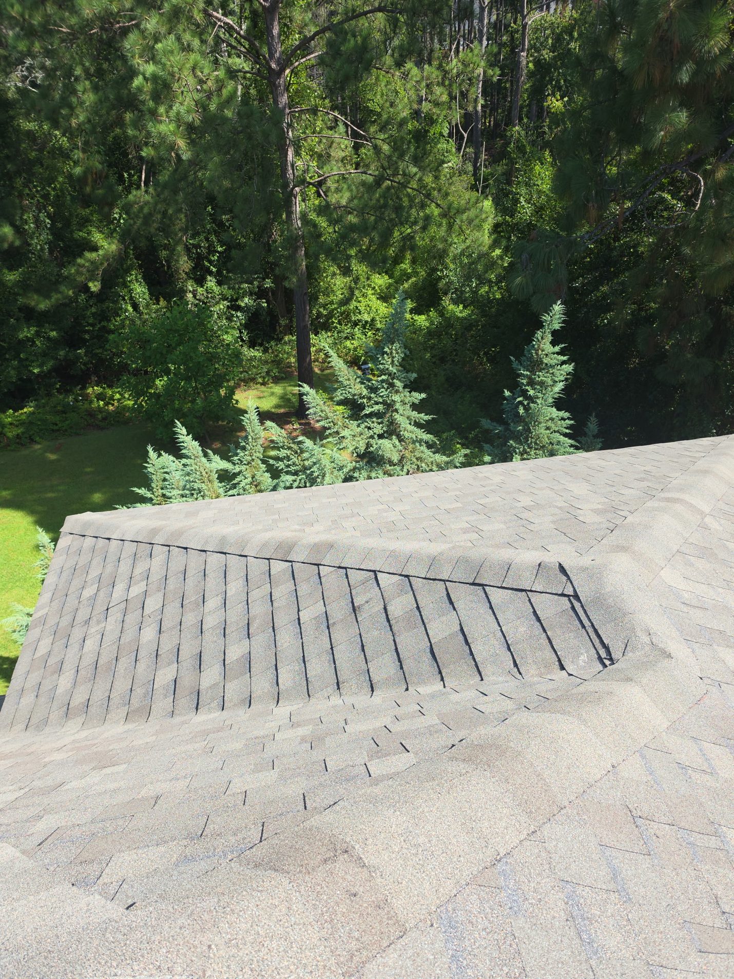 Finished: the rear slopes facing the woods, with a hip running down into the main roof in new